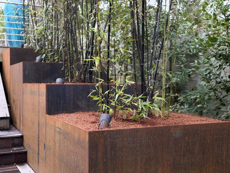 Étagement des bacs corten en escalier avec jeunes plants de bambous