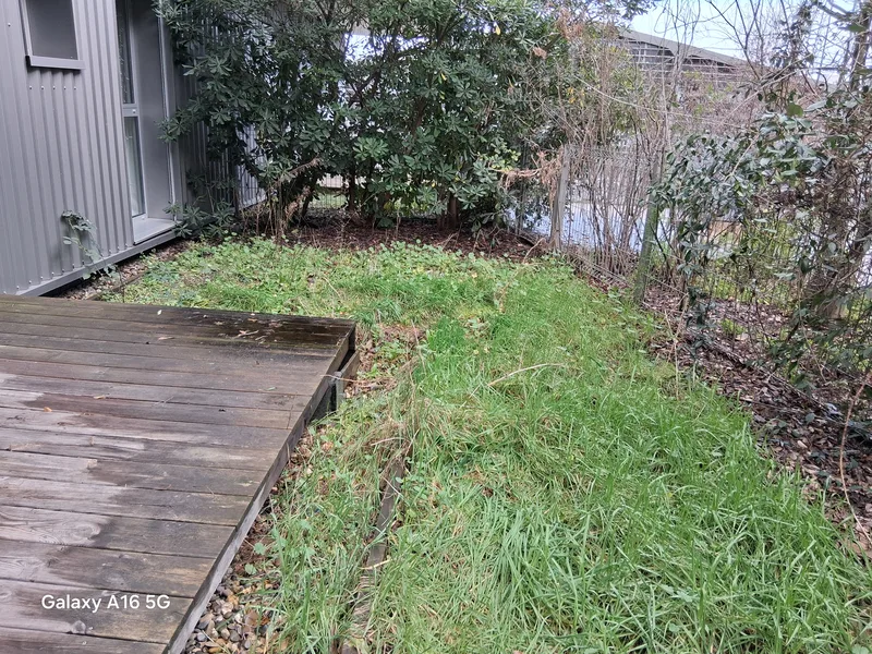Avant travaux : terrain en friche avec herbes folles et terrasse abîmée